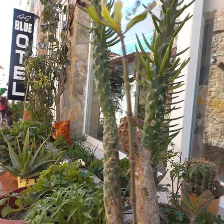 Blue מלון Çeşme
